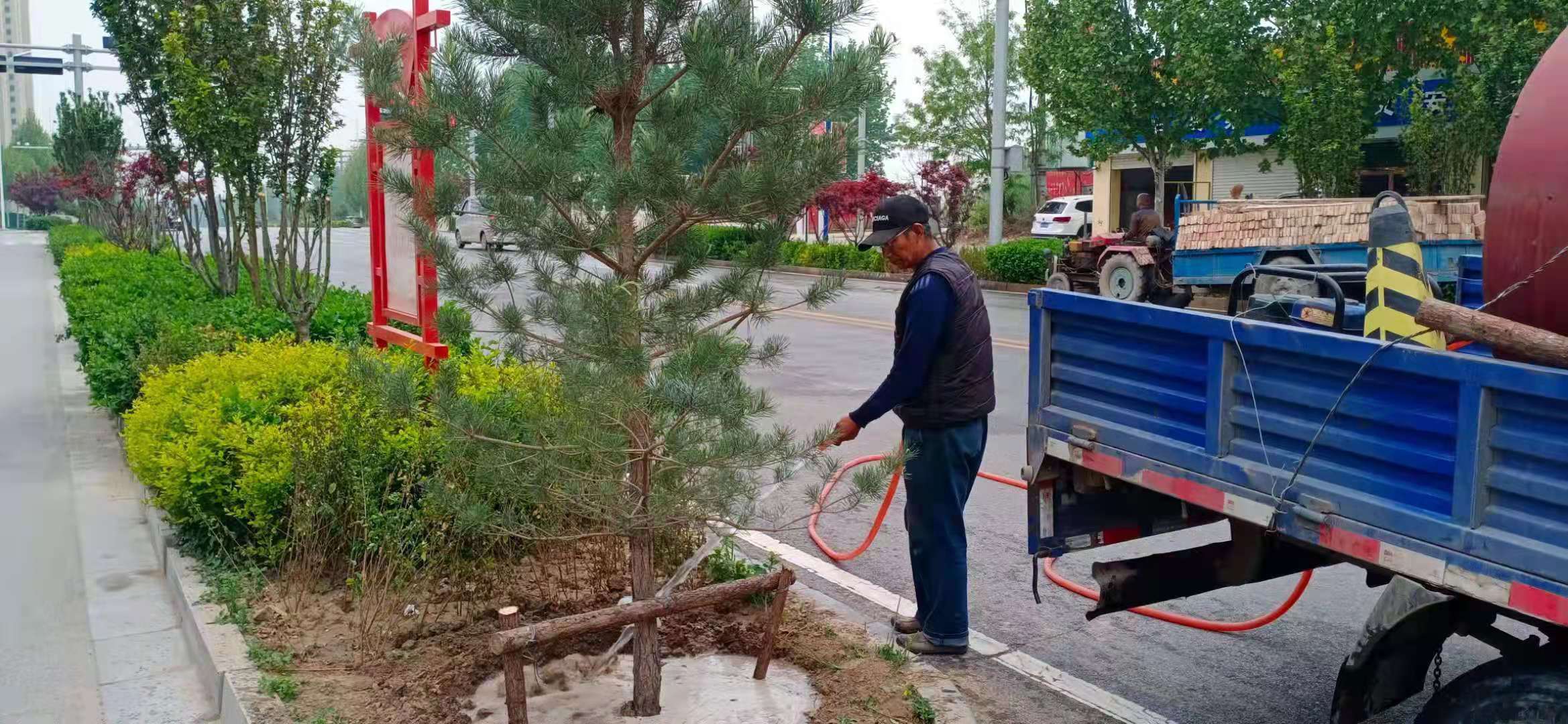 興文西道養(yǎng)護(hù)項目